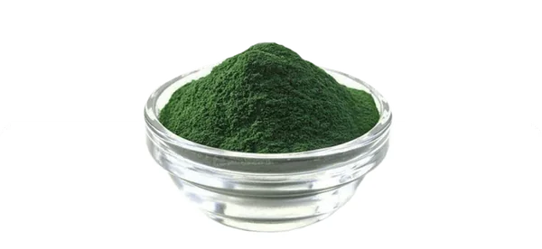 Chlorella vulgaris