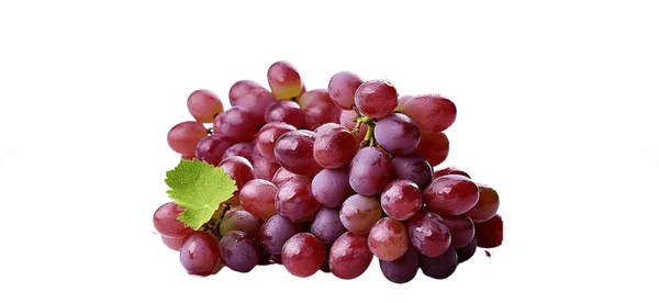 Extrato de uva