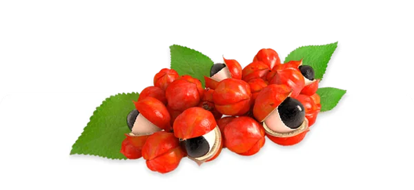 Guaraná