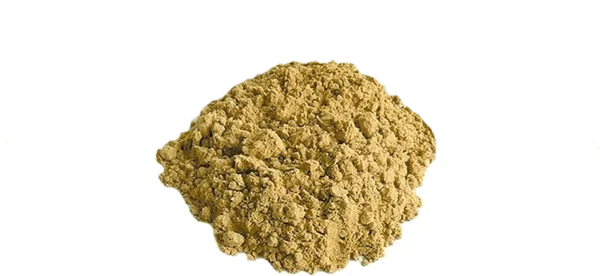 Quitosana